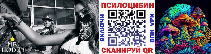 Купить  Карабулак  Псилоцибиновые грибы Psilocybe 